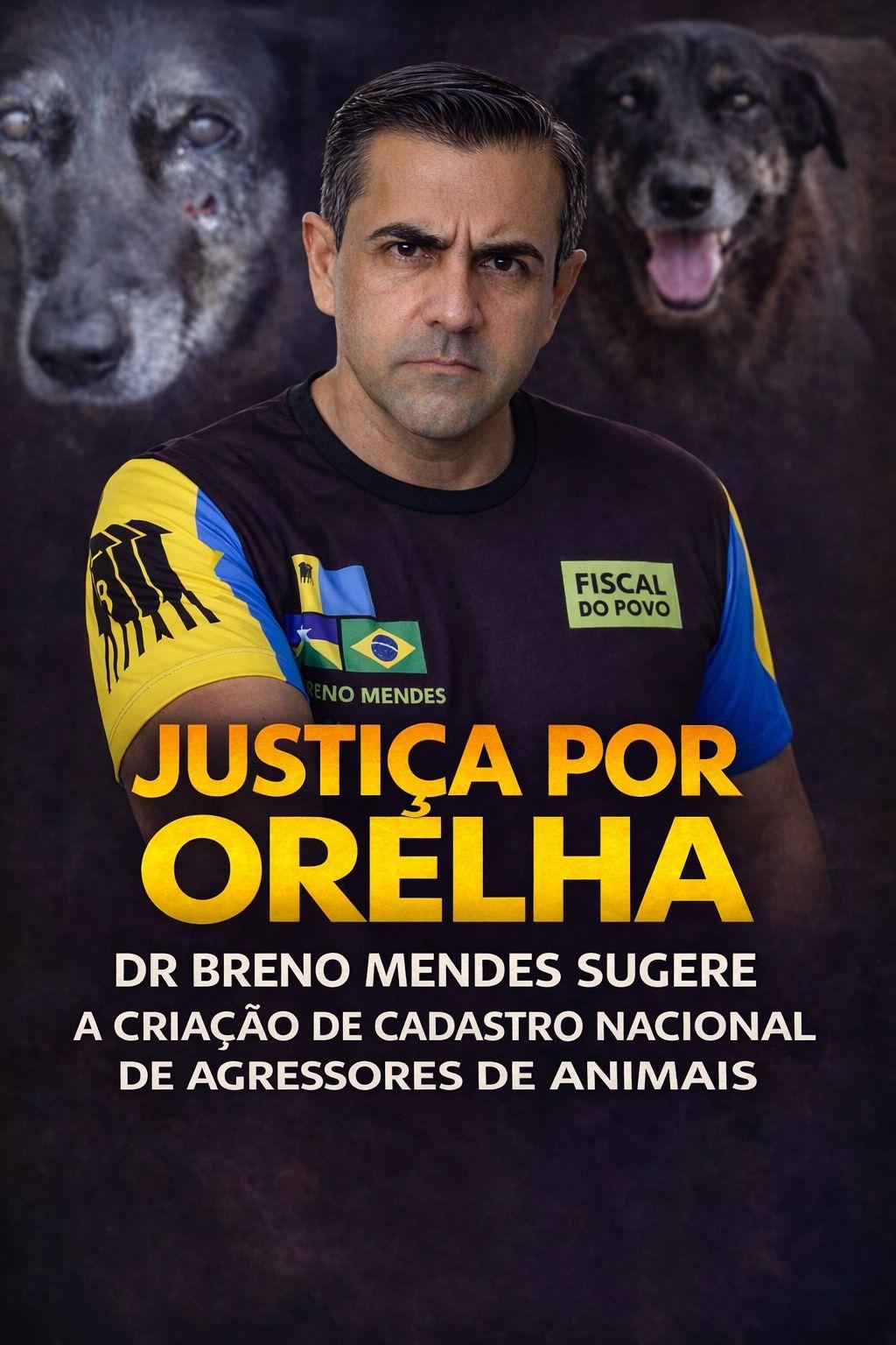 Caso Orelha choca o país e motiva proposta de Dr. Breno Mendes para criar cadastro nacional de agressores de animais