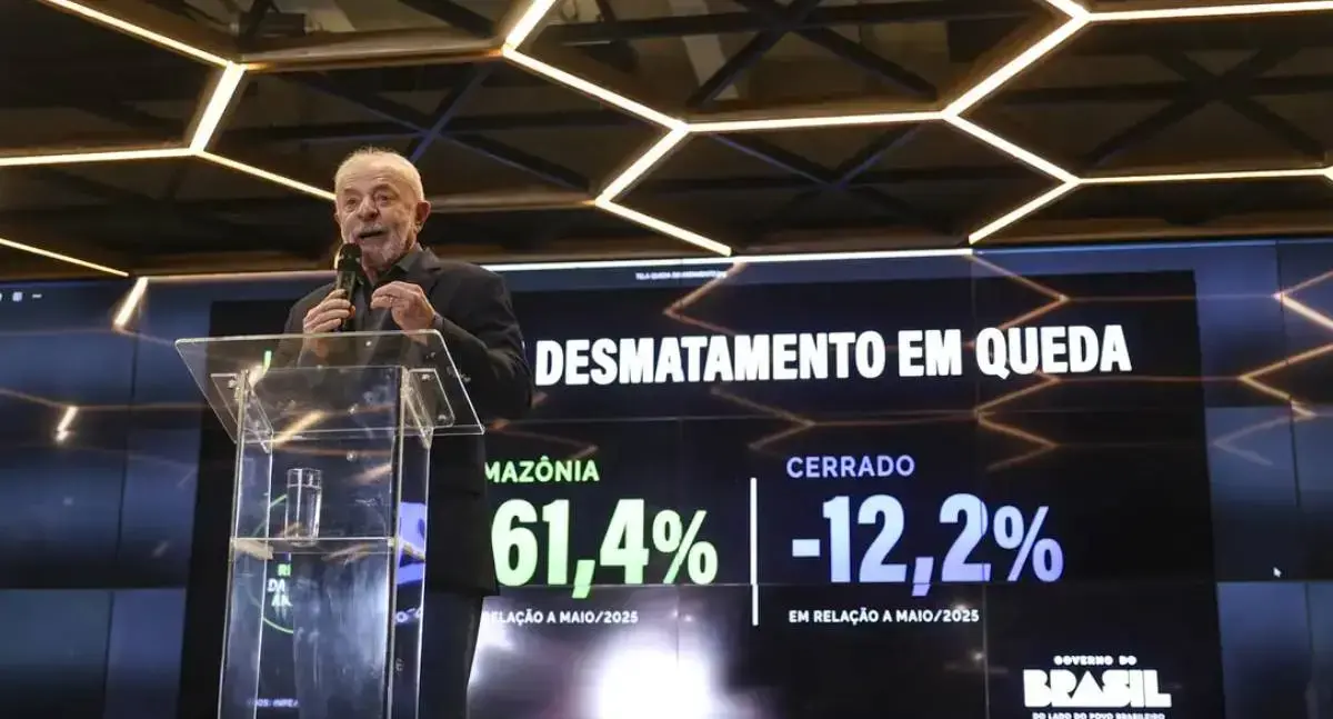 Desmatamento na Amazônia cai 61 por cento em maio