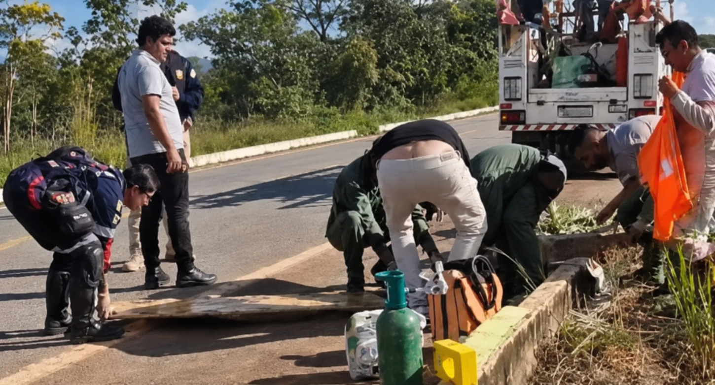  Funcionário da Energisa é socorrido de helicóptero após acidente na BR-319 