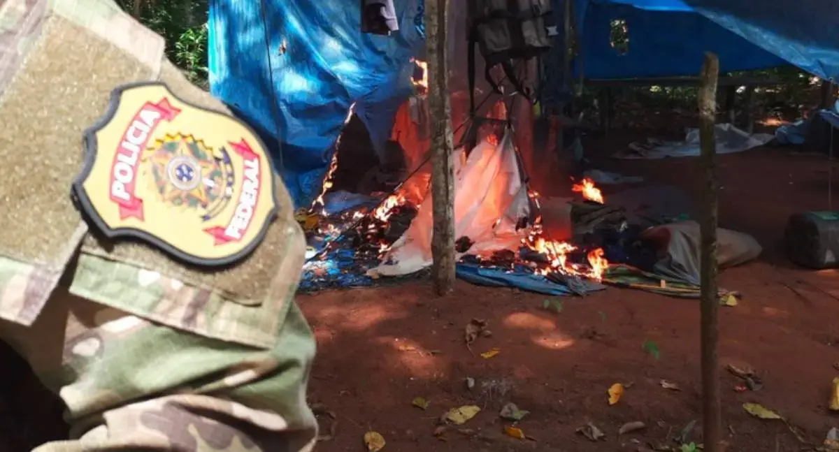 PF e forças parceiras realizam ação contra garimpo e exploração ilegal de madeira em terras indígenas de Rondônia