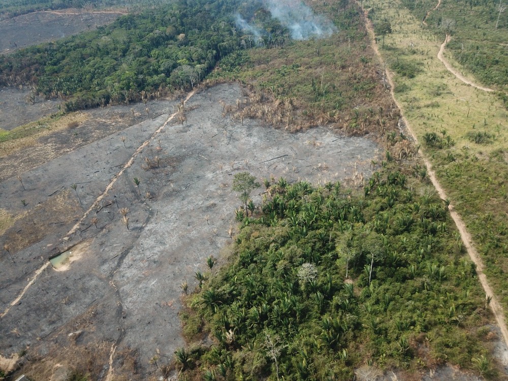 DADOS DO INPE – Desmatamento em Rondônia cai 41% e registra menor volume de alertas da década na Amazônia