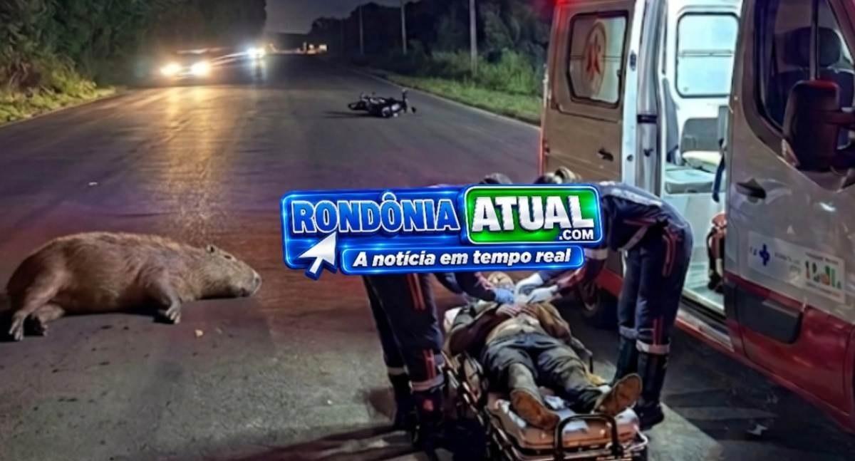 Motociclista fica ferido depois de colidir com capivara na rodovia RO-135 em RO