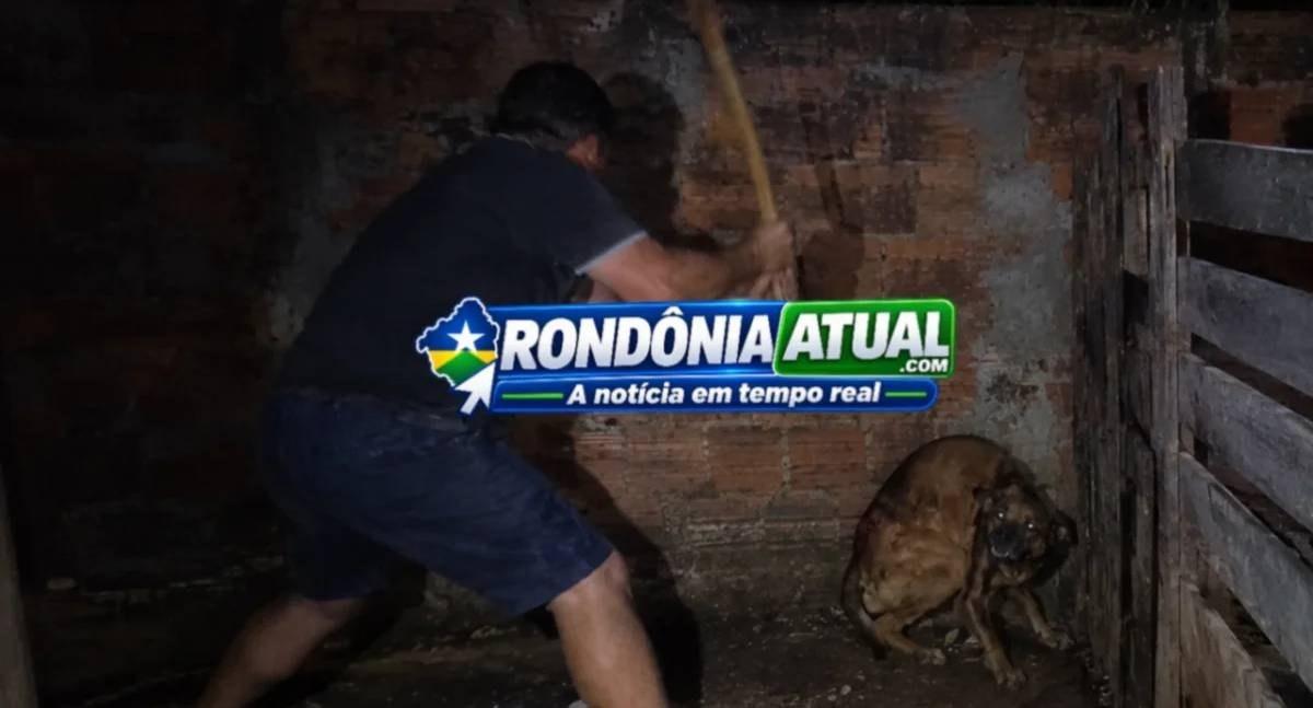 Homem é acusado de agredir cachorro com golpes de enxada depois de confusão em RO
