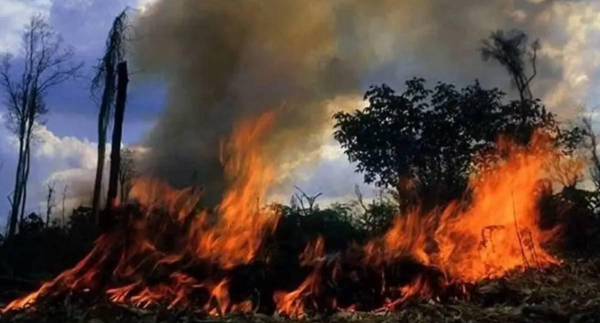 Homem morre ao tentar combater incêndio em pastagem na zona rural de Nova União