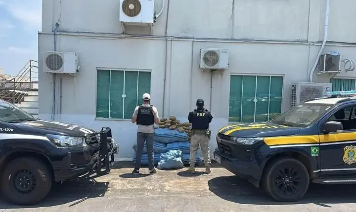 Ação conjunta entre PRF e PCRO resulta na apreensão de quase 200 kg de “supermaconha” em Rondônia