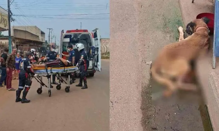Acidente com cachorro deixa mulher gravemente ferida na zona Leste