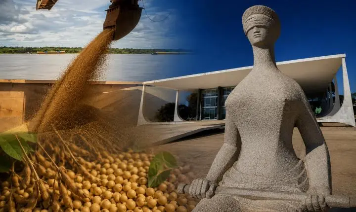 BRIGA NO AGRONEGÓCIO – STF valida Moratória da Soja, mas mantém possibilidade de punições em Rondônia