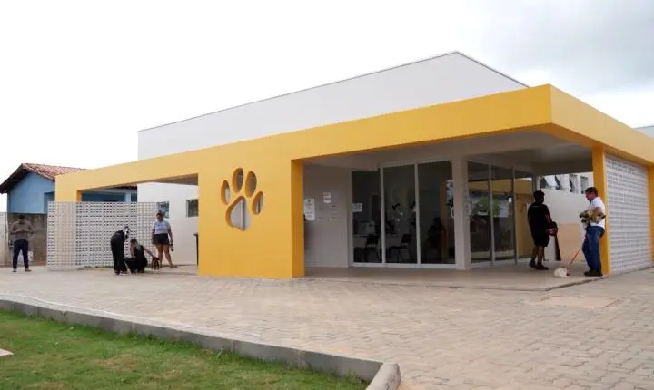 Clínica do Bem-Estar Animal fecha primeiro semestre com mais de 250 adoções e 6,6 mil atendimentos