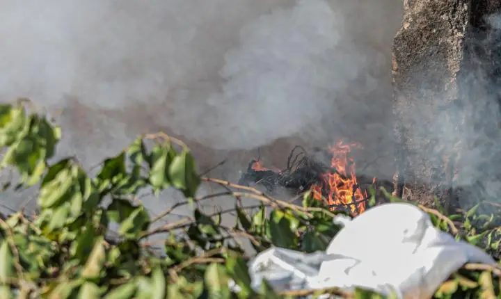 Combate às queimadas é intensificado durante período de seca em Porto Velho