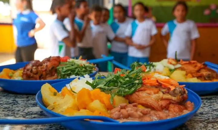 Comissão debate reajuste automático anual no Programa Nacional de Alimentação Escolar