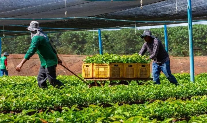 Deputado Alan Queiroz destina R$ 50 mil para fortalecer produção rural em São Francisco do Guaporé