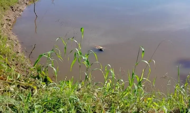 Em Rondônia: Homem é encontrado morto em rio