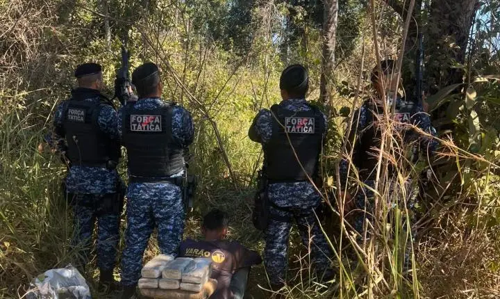 Força Tática apreende grande quantidade de maconha e conduz adolescente por ato infracional em Porto Velho