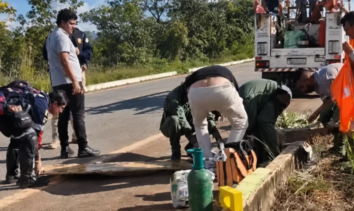  Funcionário da Energisa é socorrido de helicóptero após acidente na BR-319 