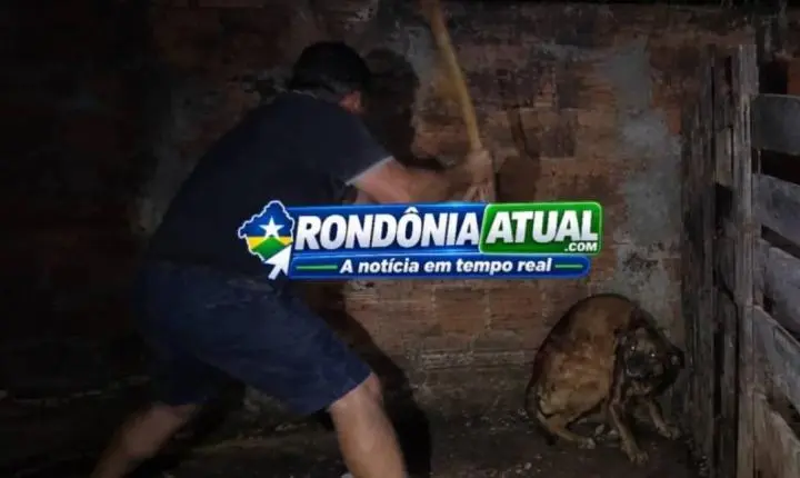 Homem é acusado de agredir cachorro com golpes de enxada depois de confusão em RO