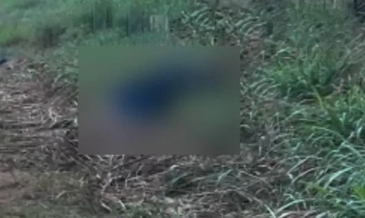 Homem é encontrado morto com marcas de tiros e corpo carbonizado em distrito de Candeias do Jamari