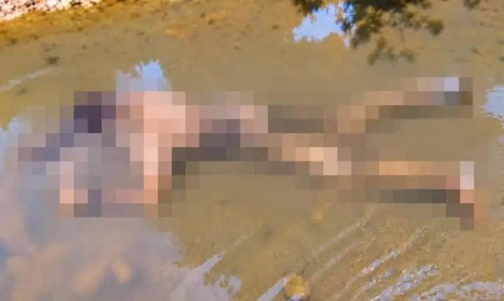 Homem é encontrado morto com múltiplos ferimentos em riacho na zona rural de RO