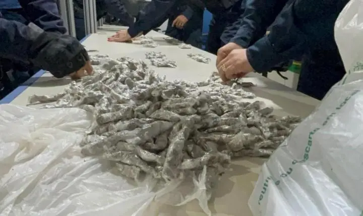 Homem é preso com quase 500 porções de maconha na zona leste de Porto Velho