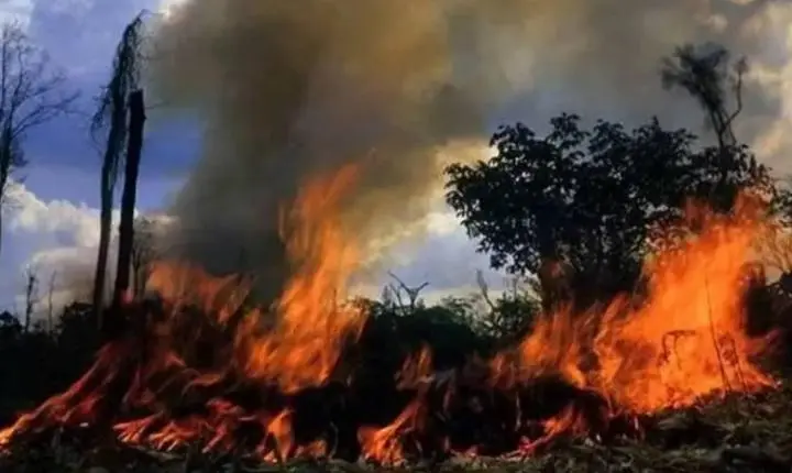 Homem morre ao tentar combater incêndio em pastagem na zona rural de Nova União