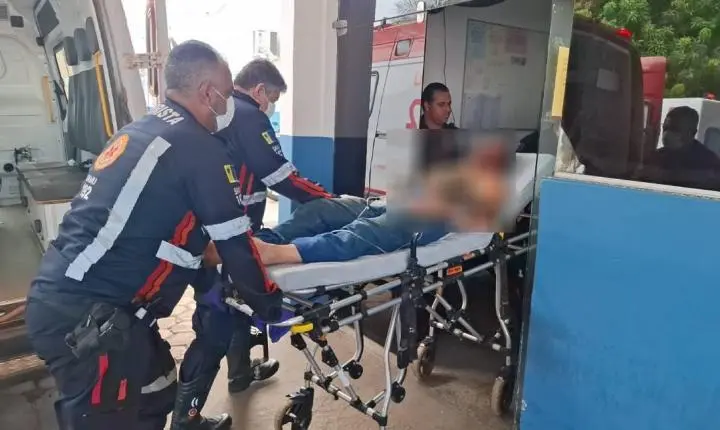 Homem se fere depois de égua ser atacada por onça na Estrada da Penal em Porto Velho