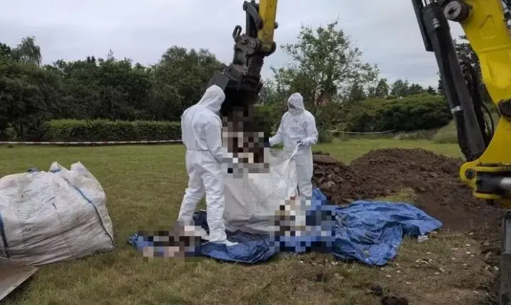 Mais de 30 fetos são encontrados em jardim de médica