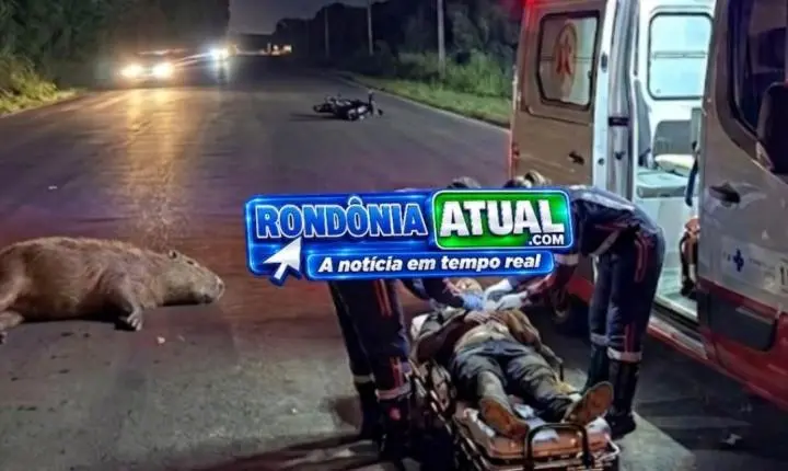 Motociclista fica ferido depois de colidir com capivara na rodovia RO-135 em RO