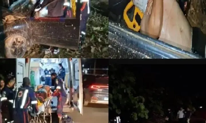 Motorista fica gravemente ferido depois de carro sair da pista e bater em árvore em RO