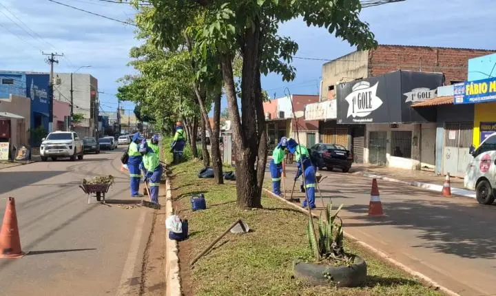 Mutirão de limpeza e roçagem atende mais quatro avenidas da capital
