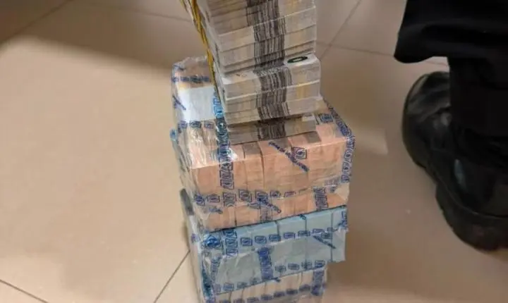 PF encontra R$ 815 mil em dinheiro vivo e relógios de luxo durante operação que investiga esquema milionário em Rondônia