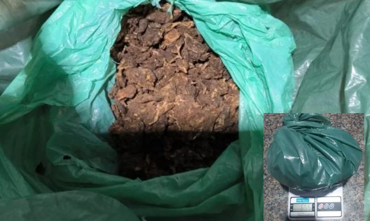 Polícia Militar apreende mais de 650 gramas de droga durante abordagem em Cacoal