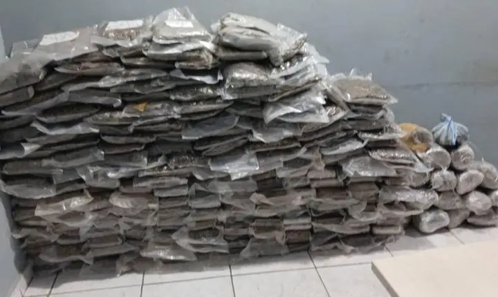 PRF apreende 200 quilos de maconha e prende três suspeitos na BR-364 em Porto Velho