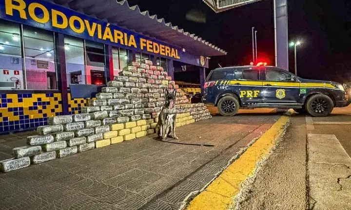 PRF apreende 540 kg de skunk em caminhão na BR-364
