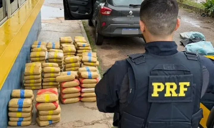 PRF apreende quase 175 kg de skunk e prende dois homens na BR-364