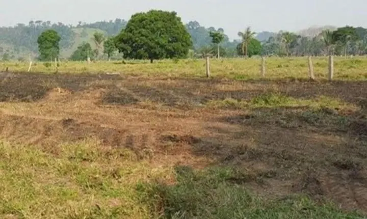 Sitiante morre ao tentar conter incêndio em pasto em Rondônia