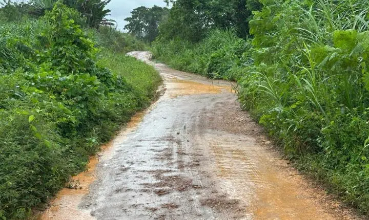 Vereador Edimilson Dourado acompanha demandas de infraestrutura e saúde na Colônia Viçosa