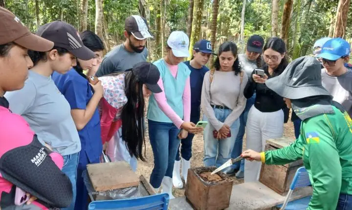 Visita técnica aproxima acadêmicos da prática da apicultura e meliponicultura em propriedades rurais